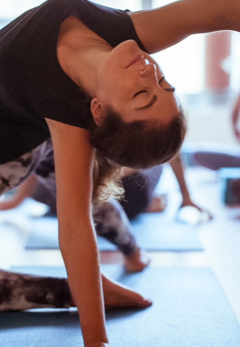 Vinyasa Yoga Bologna Corsi di yoga nel centro di Bologna